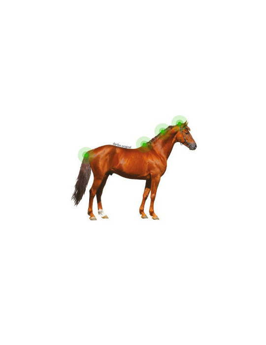 Derfen original lotion 250ml - Nature Horse Langon