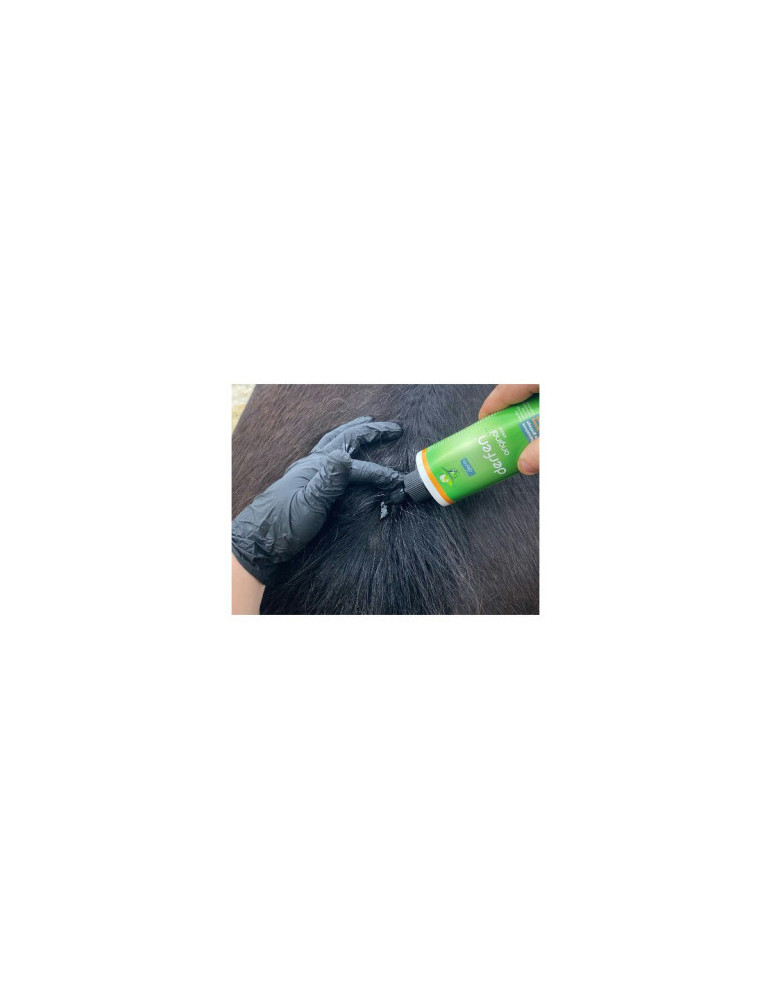 Derfen original lotion 250ml - Nature Horse Langon