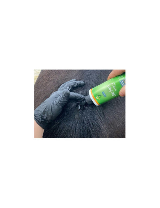 Derfen original lotion 250ml - Nature Horse Langon