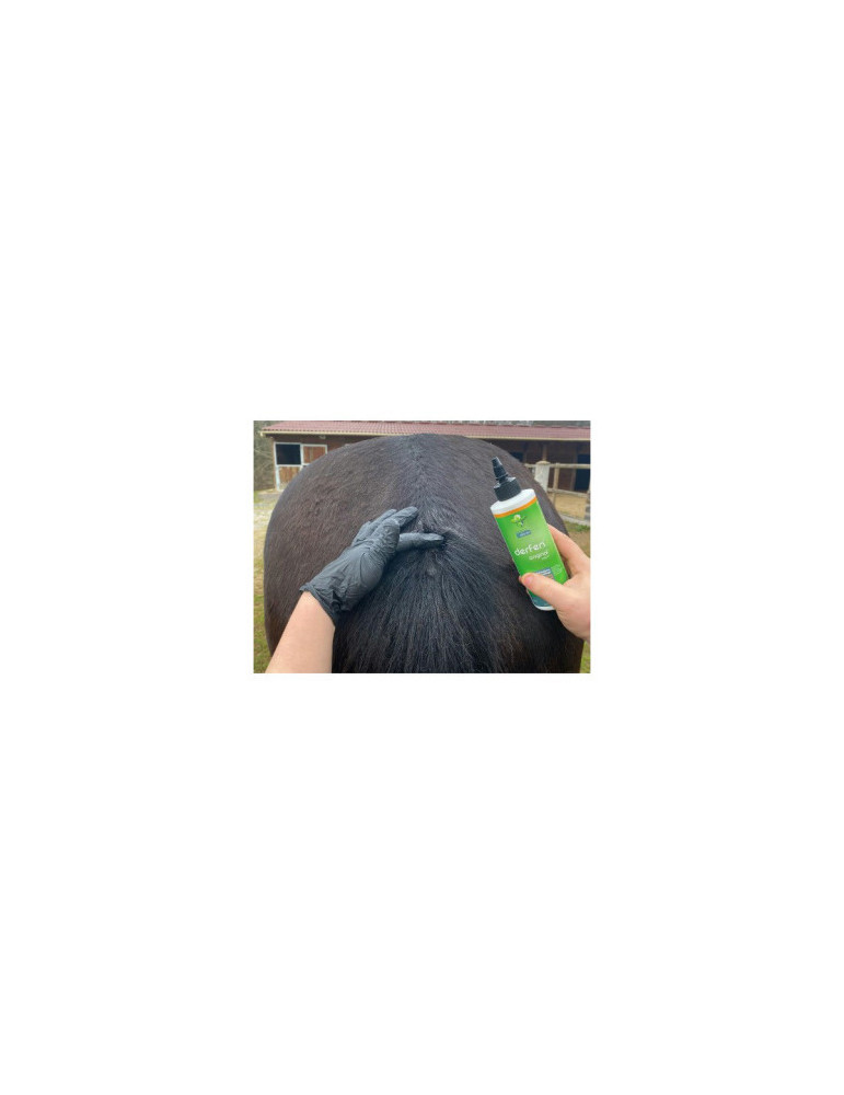 Derfen original lotion 250ml - Nature Horse Langon