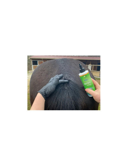 Derfen original lotion 250ml - Nature Horse Langon