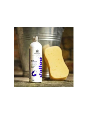 Shampoing Détachant Gallop Carr & Day & Martin 500ml - Robe Claire Cheval - Nature Horse 2