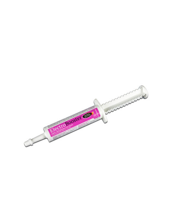 Electrobooster Seringue 30ml - Complément Energie Cheval - Nature Horse