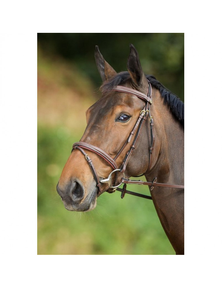 COMFORT BRIDLE - BROWN - FULL
