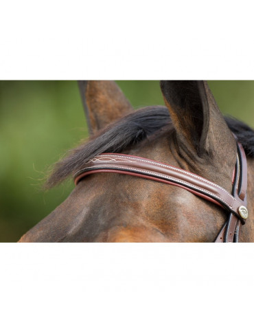 COMFORT BRIDLE - BROWN - FULL 2