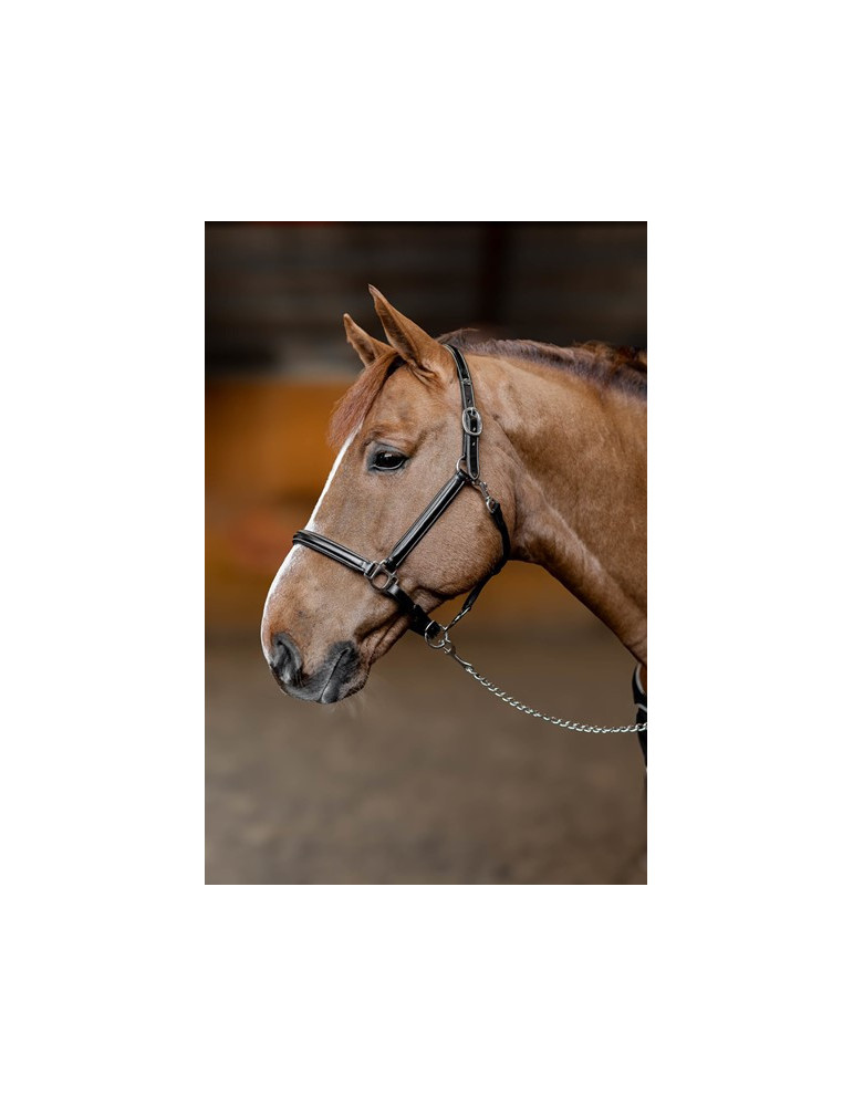 Licol cuir "Little Groom" Noir Cob