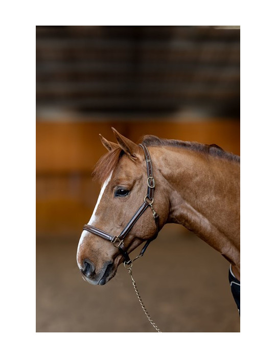 Licol cuir "Little Groom" Brun Full