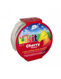 Likit Pierre Cerise 250g - Pierre à lécher cheval