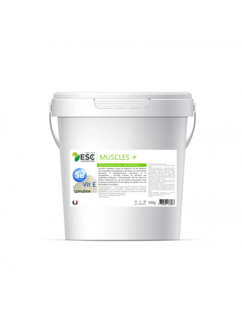 Lysine + 500g ESC - Complément Acides Aminés Cheval - Nature Horse