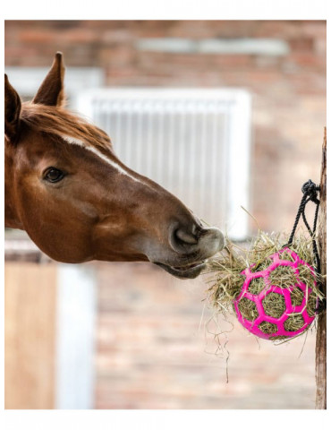 Boule à foin Rose 2