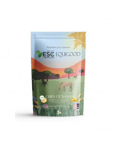 CHIPS DE BANANE Cheval - Friandises sans sucres et naturelles - Nature