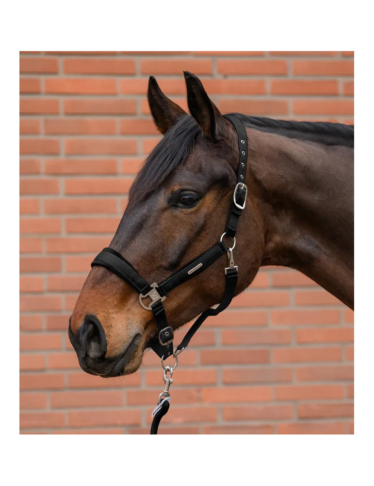 Licol Waldhausen Velvet Noir Cob