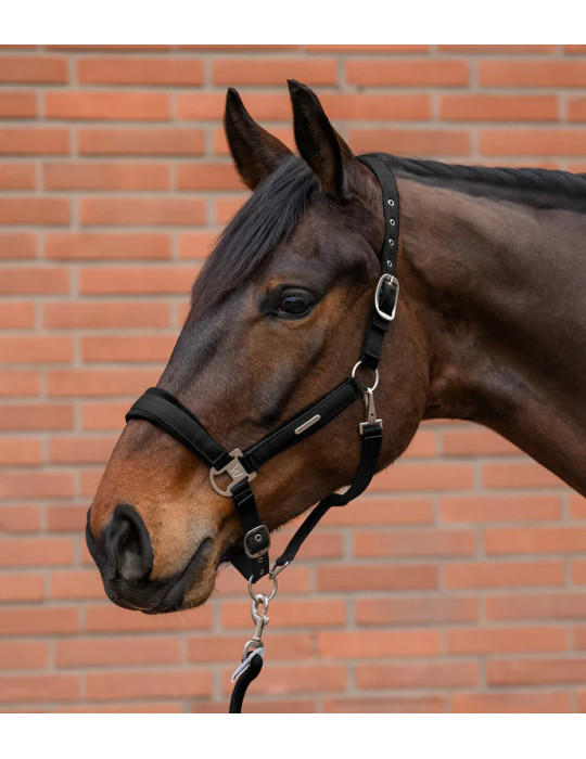 Licol Waldhausen Velvet Noir Cob