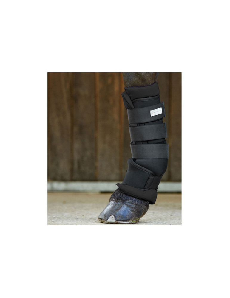 Guetres d'écurie lot de 2 noir taille L