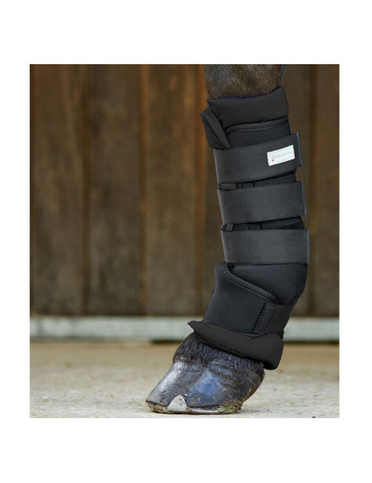 Guetres d'écurie lot de 2 noir taille L