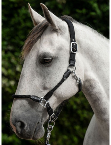 Licol -Carlotta- 9100 noir taille COB 2
