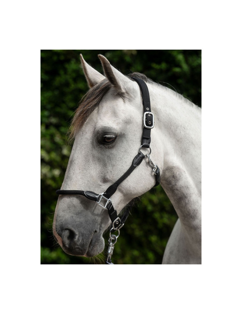 Licol -Carlotta- 9100 noir taille PONEY