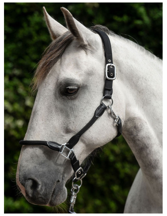 Licol -Carlotta- 9100 noir taille PONEY