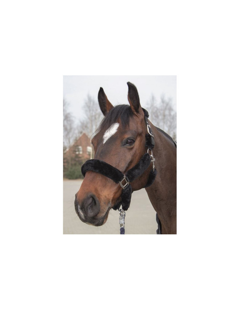Licol mouton TEDDY noir taille PONEY