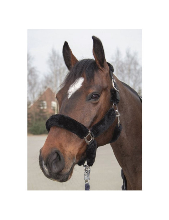 Licol mouton TEDDY noir taille PONEY