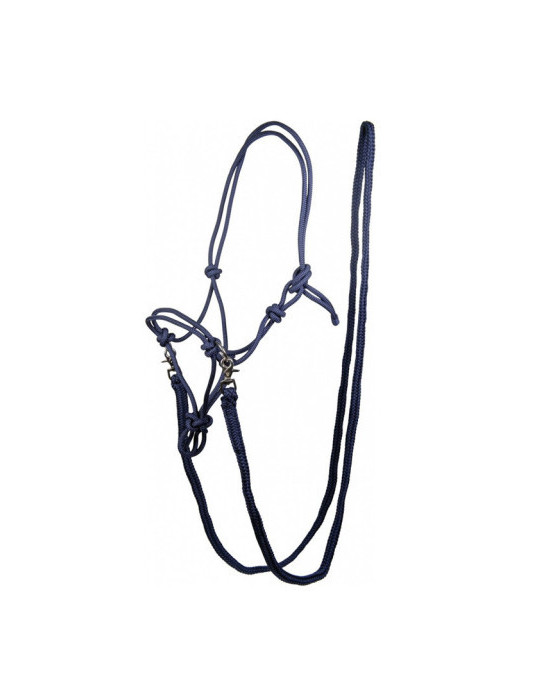 Licol NODAL Set-Trust bleu foncé taille COB