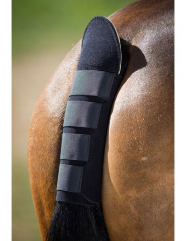 Protège queue Noir Neoprene