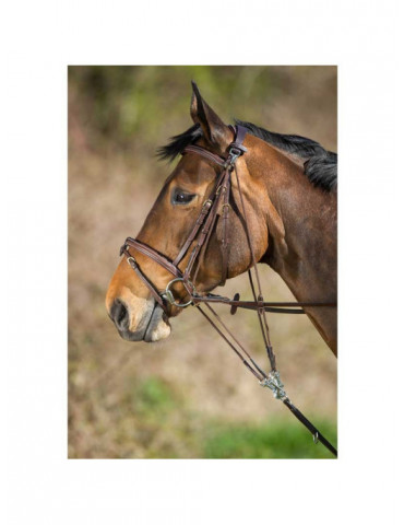 GOGUE CUIR NOIR PONEY