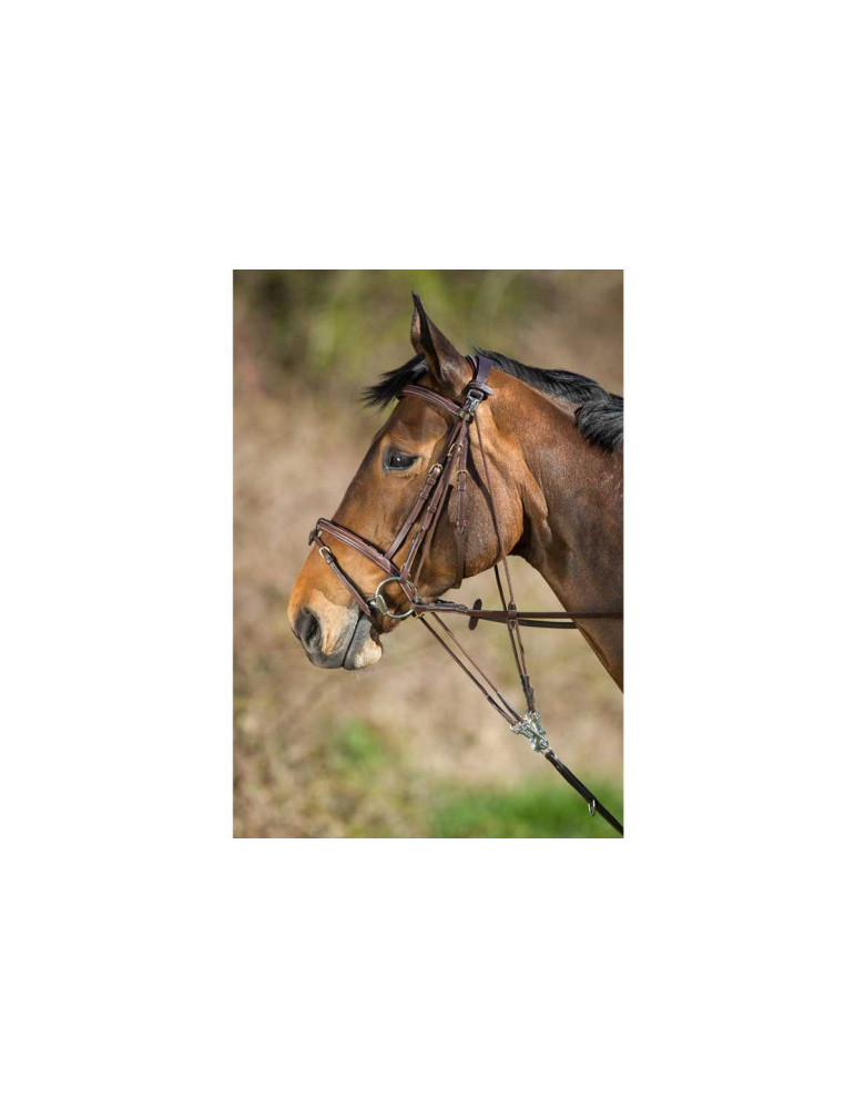GOGUE CUIR NOIR PONEY