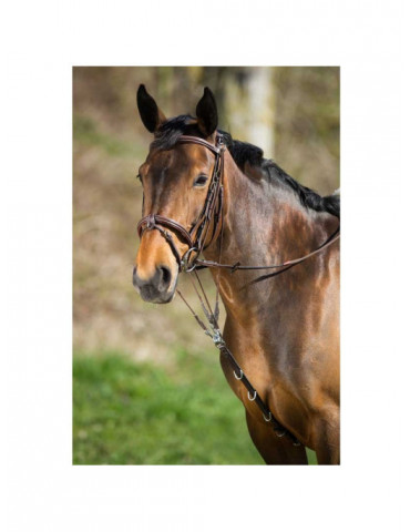 GOGUE CUIR NOIR PONEY 2