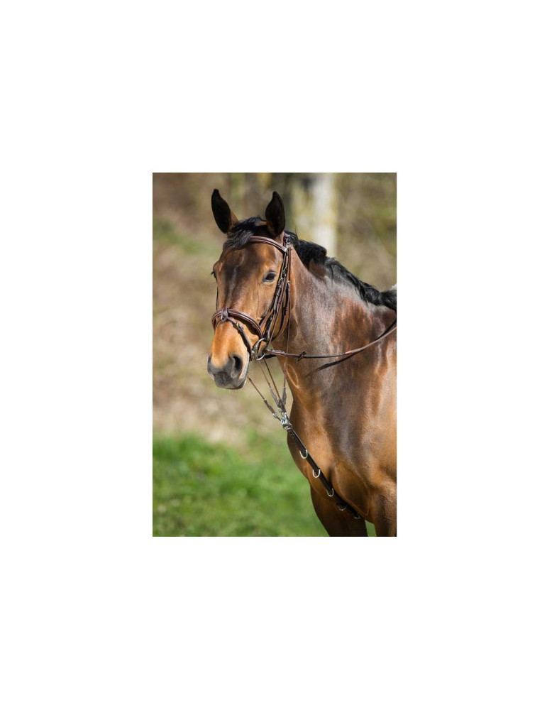 GOGUE CUIR NOIR PONEY