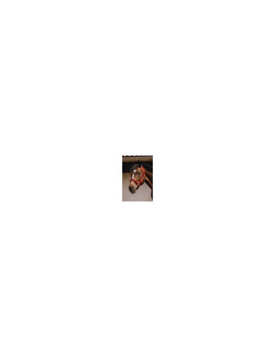 Licol JACQUARDS rouge PONEY