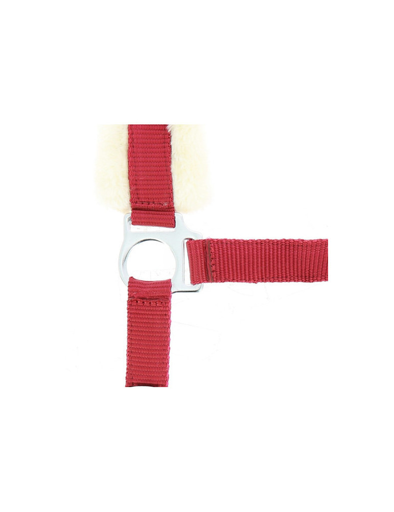 Licol mouton synthétique bordeaux COB