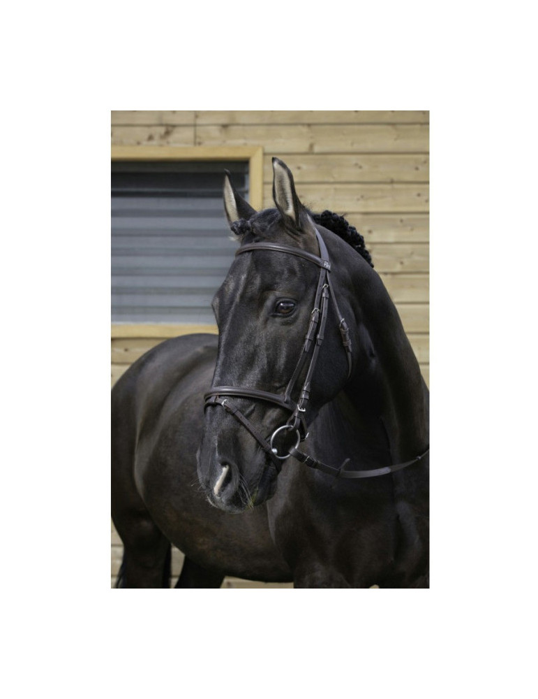 Filet muserolle combinée noir COB