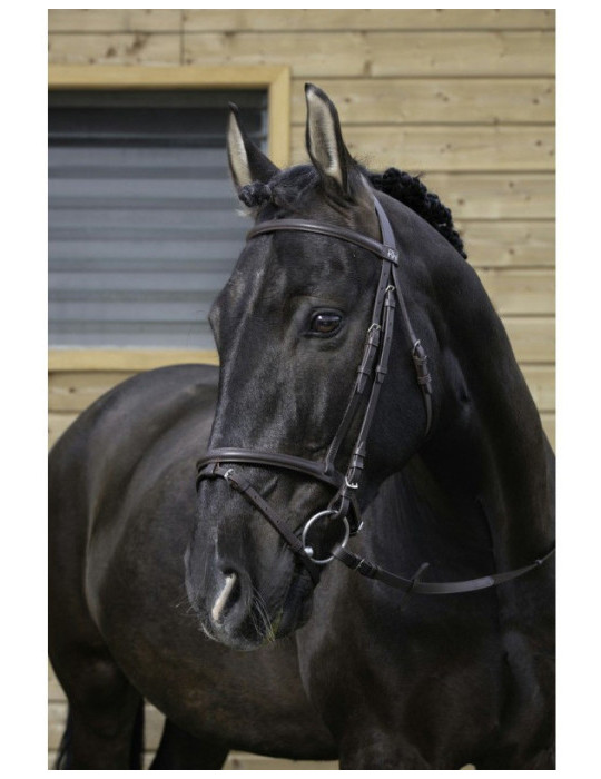 Filet muserolle combinée noir COB