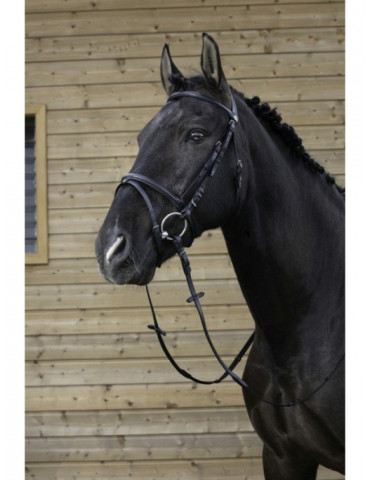 Filet muserolle combinée noir COB 2