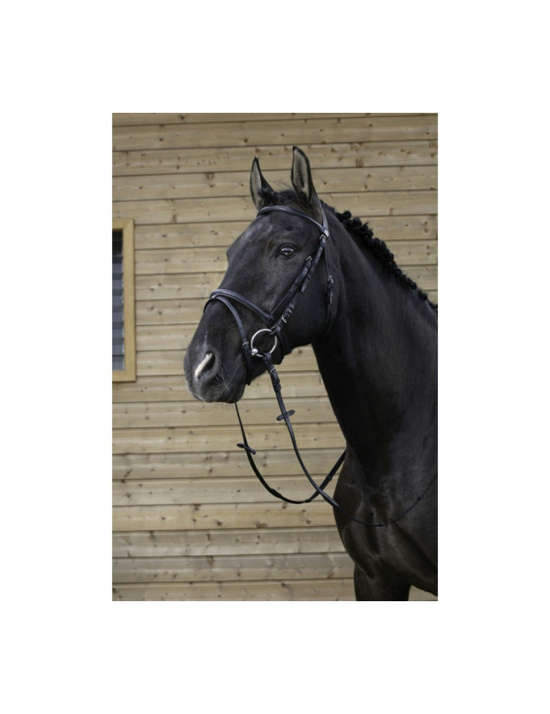 Filet muserolle combinée noir COB