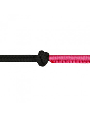 Licol éthologique + longe noir/fuchsia FULL 2