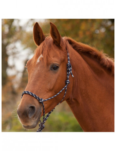 Head Collar Deep blue full
