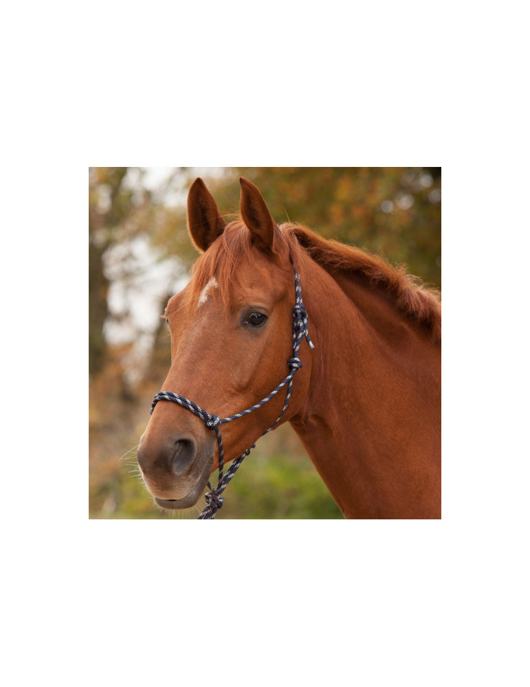 Head Collar Deep blue full