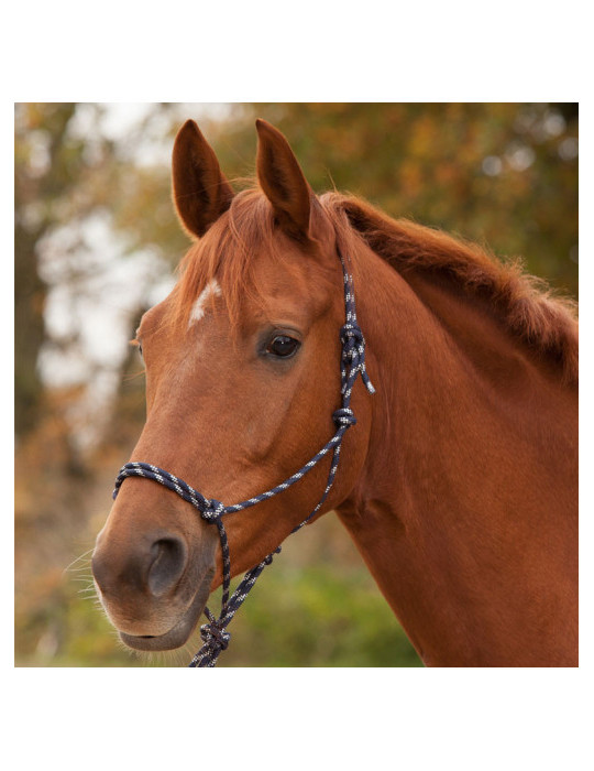 Head Collar Deep blue full