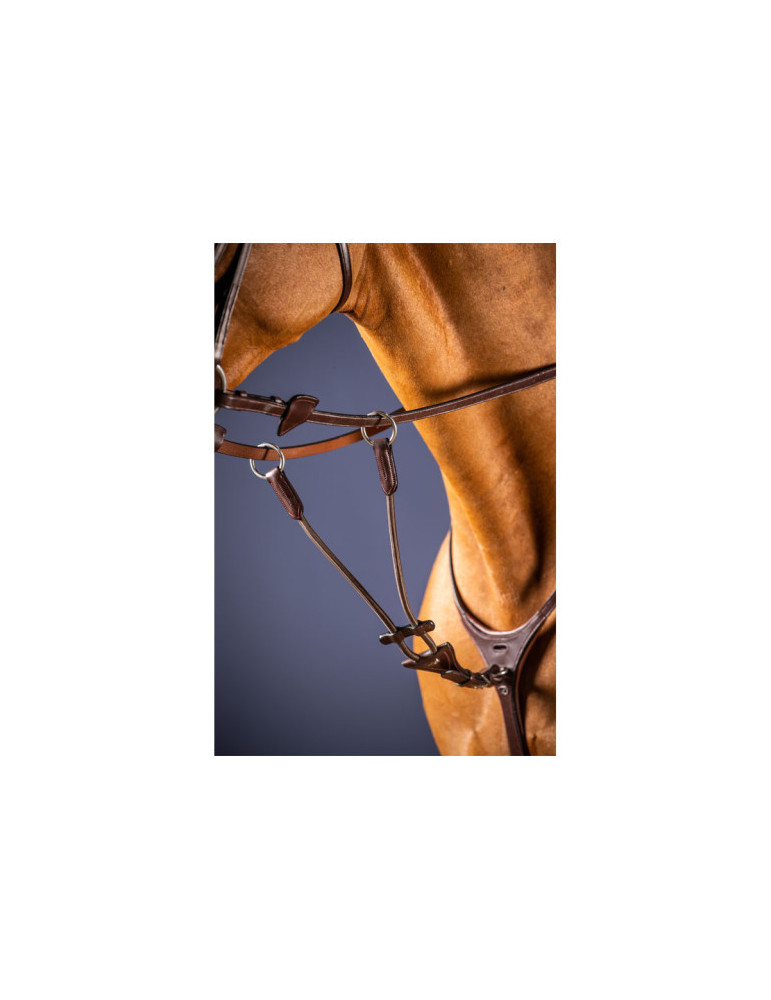 Elastic Running Martingale Attachment brown full