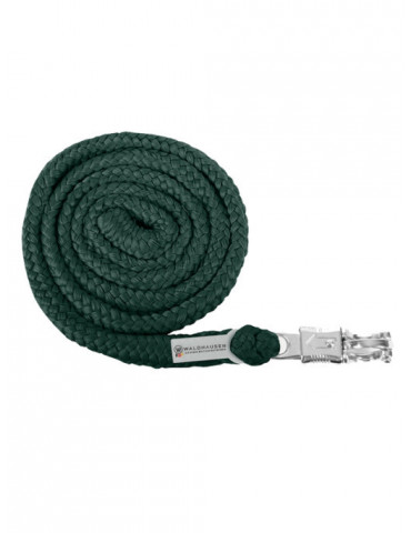 Longe Pine Green