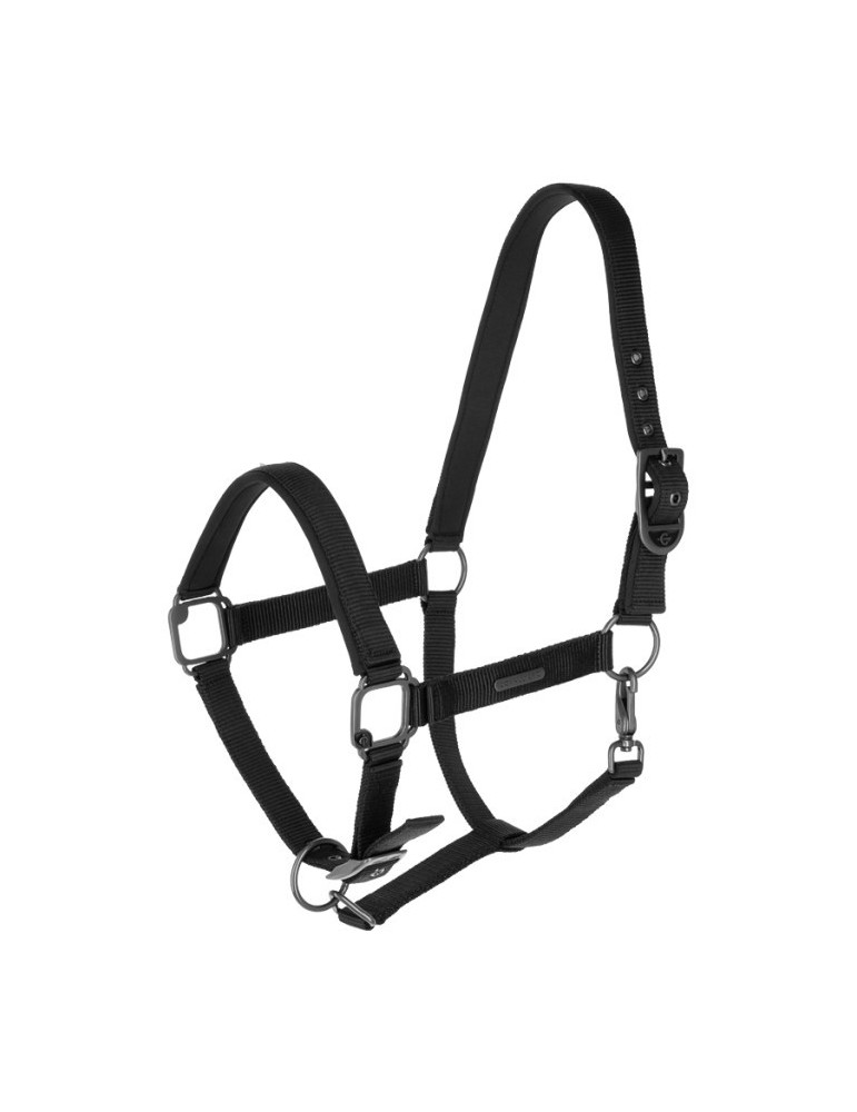 Licol CLEVER-OPEN noir PONEY