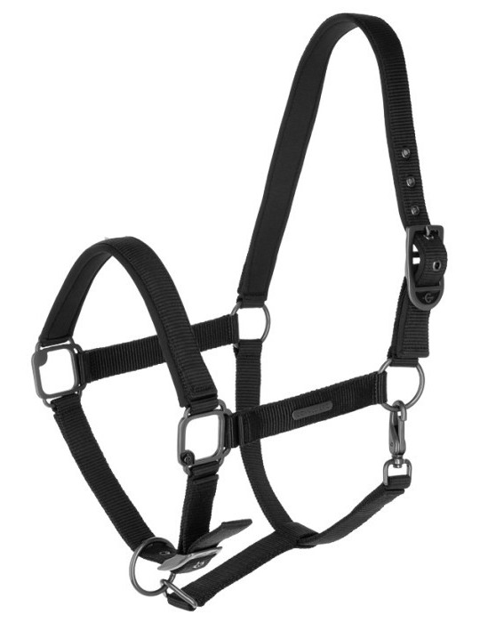 Licol CLEVER-OPEN noir COB