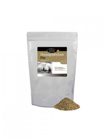 Harpagophytum semoulette 1 Kg - Nature Horse Langon